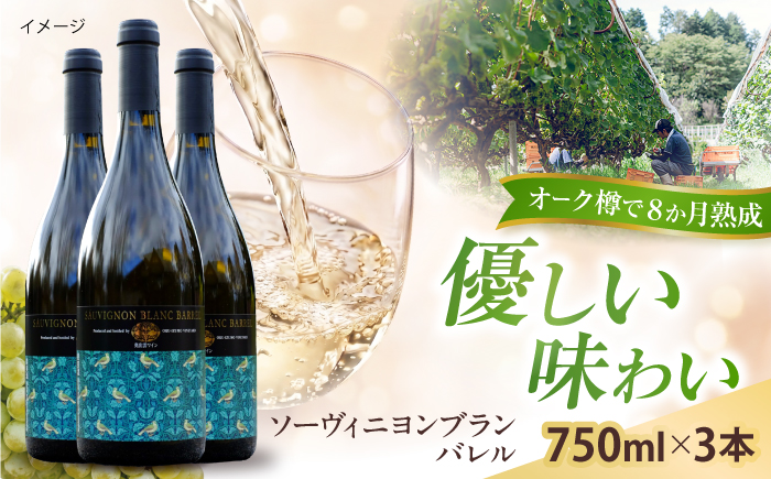 ソーヴィニヨンブランバレル 3本 750ml×3 白ワイン 樽熟成 国産 島根県雲南市/有限会社奥出雲葡萄園 [AICS117]
