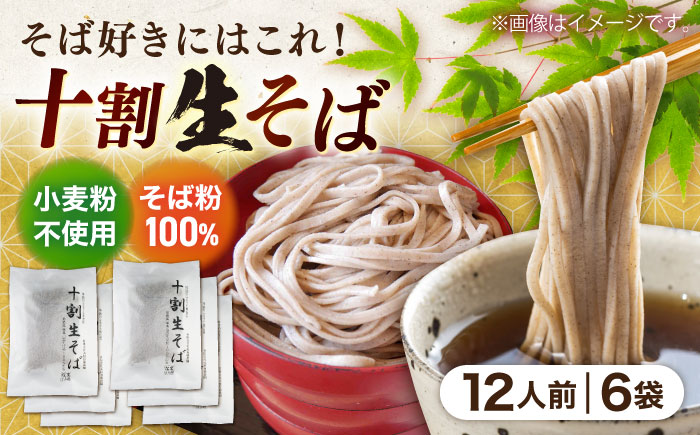 十割生そば12人前（2人前×6袋） | 十割生そば セット そば 生そば 島根県雲南市/有限会社木村有機農園 [AICU008]