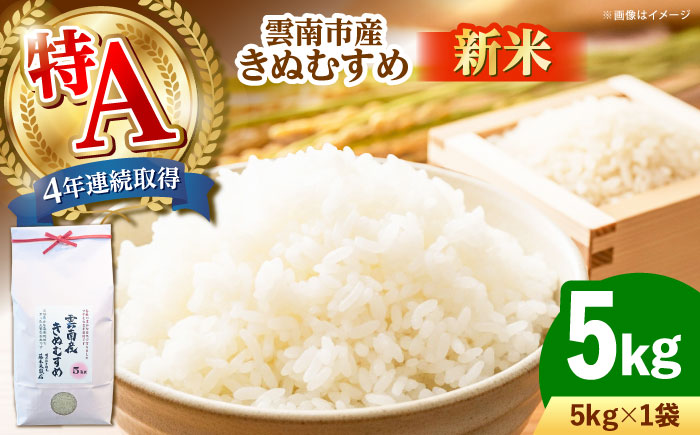 【特A】雲南市産きぬむすめ 5kg [AIDB099]
