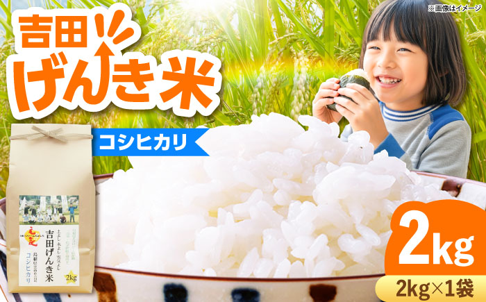 【新米】吉田げんき米コシヒカリ 2kg 島根県雲南市/有限会社藤本米穀店 ｜こしひかり 白米 精米 コメ 2キロ [AIDB116]
