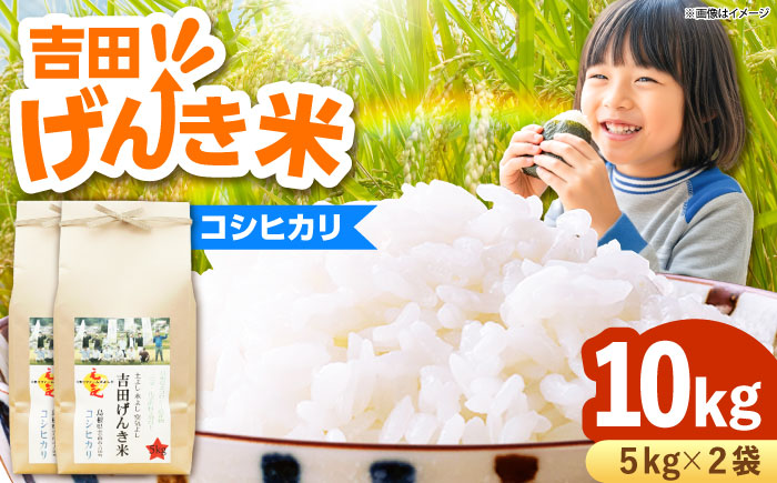 吉田げんき米コシヒカリ 10kg（5kg×2袋）[AIDB118]