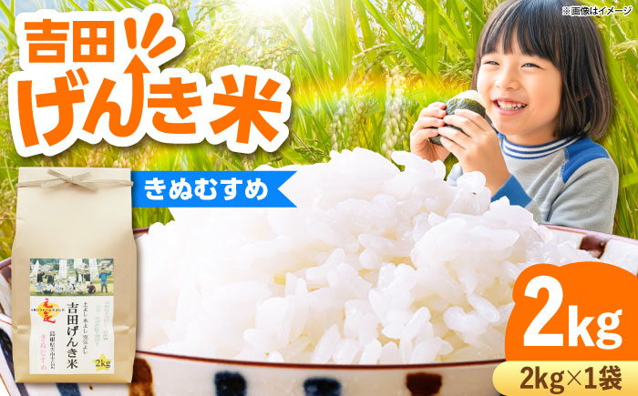 【新米】吉田げんき米きぬむすめ 2kg 島根県雲南市/有限会社藤本米穀店 ｜ブランド米 きぬ娘 白米 精米 コメ 2キロ [AIDB128]