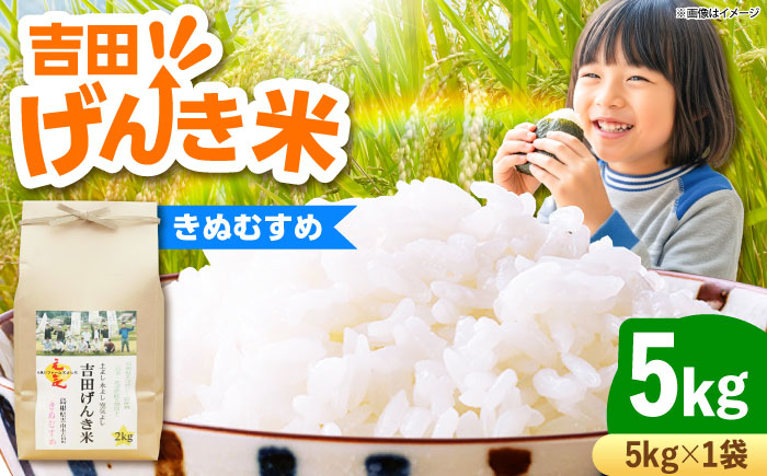 【新米】吉田げんき米きぬむすめ 5kg 島根県雲南市/有限会社藤本米穀店 ｜ブランド米 きぬ娘 白米 精米 コメ 5キロ [AIDB129]