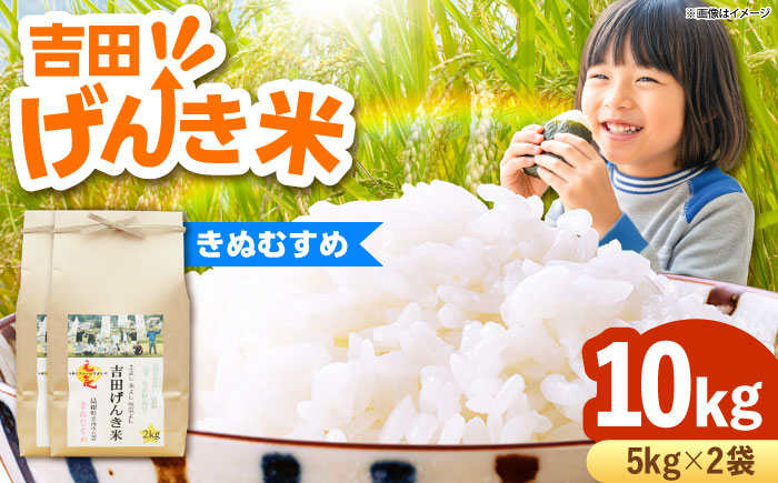 吉田げんき米きぬむすめ 10kg（5kg×2袋） [AIDB130]