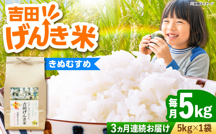 【全3回定期便】【新米】吉田げんき米きぬむすめ 5kg 島根県雲南市/有限会社藤本米穀店 ｜ブランド米 きぬ娘 白米 精米 コメ 5キロ [AIDB132]