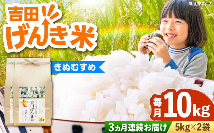 【全3回定期便】【新米】吉田げんき米きぬむすめ 10kg（5kg×2袋） 島根県雲南市/有限会社藤本米穀店 ｜ブランド米 きぬ娘 白米 精米 コメ 10キロ [AIDB133]