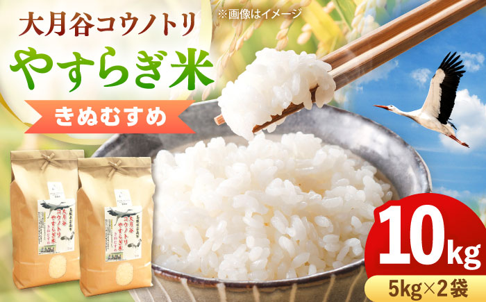 【新米】大月谷コウノトリやすらぎ米 10kg（5kg×2袋） 島根県雲南市/有限会社藤本米穀店 ｜ブランド米 きぬむすめ 白米 精米 コメ 10キロ [AIDB136]
