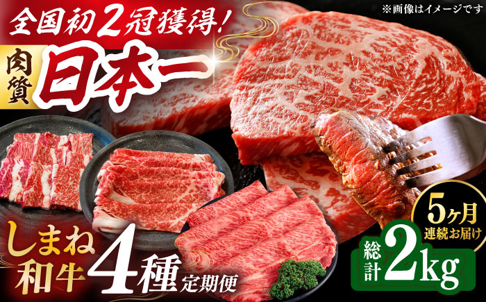 【全5回定期便】肉質日本一！しまね和牛 寄附額10万円分 計2kg 食べ比べ セット 和牛 牛肉 ステーキ 焼肉 島根県雲南市/Do corporation株式会社 [AIDI017]