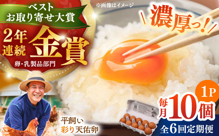 【全6回定期便】黄身の濃厚なコクと白身の甘み！たたらの里平飼い 彩り天佑卵 10個入り（10個×1P）たまご 卵 放牧卵 平飼い卵 新鮮 国産 島根県雲南市/株式会社たなべたたらの里（たなべ森の鶏舎） [AIDL008]
