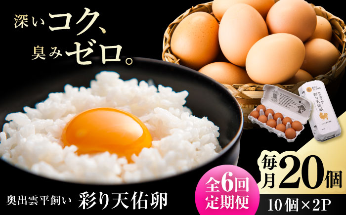【全6回定期便】黄身の濃厚なコクと白身の甘み！たたらの里平飼い 彩り天佑卵 20個入り（10個×2P）たまご 卵 放牧卵 平飼い卵 新鮮 国産 島根県雲南市/株式会社たなべたたらの里（たなべ森の鶏舎） [AIDL013]
