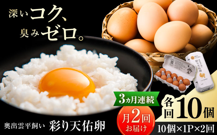 《月2回 × 10個 3ヶ月コース》 たたらの里平飼い 彩り天佑卵 全6回定期便 島根県雲南市/株式会社たなべたたらの里（たなべ森の鶏舎）｜たまご 卵 放牧卵 平飼い卵 新鮮 国産 定期便 [AIDL017]