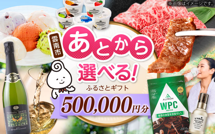 【あとから選べる】雲南市ふるさとギフト 50万円分 カタログギフト あとから寄附 あとからギフト あとからセレクト 選べる寄附 島根県雲南市/雲南市ふるさと納税 [AIDM015]