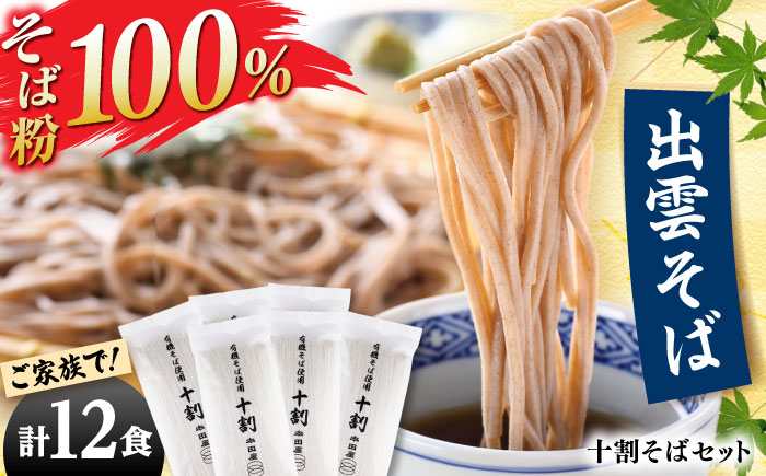 【大容量詰合せ】出雲そばセット12食 そば 出雲そば 乾麺 詰合せ ギフト 大容量 年越し 引っ越し お取り寄せ 常温 島根県雲南市/有限会社本田商店? [AIDS003]