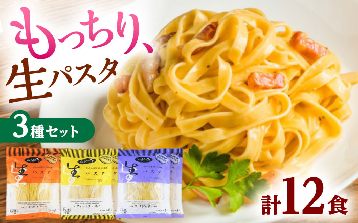 【ジャパンフードセレクション金賞・グランプリ受賞】生パスタバラエティセット3種（各2袋×2食入）食べ比べ フィットチーネ リングイネ スパゲッティ 生パスタ もちもち 島根県雲南市/有限会社本田商店 [AIDS005]