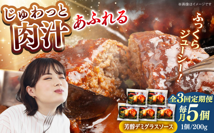 【全3回定期便】しまね和牛ハンバーグ200g×5個 ハンバーグ しまね和牛 小分け 肉 肉厚 和牛 簡単調理 湯煎 人気 お試し 島根県雲南市/株式会社 みやげ山海 [AIDZ006]