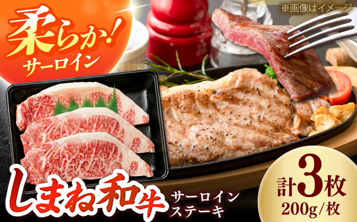 しまね和牛 サーロインステーキ200ｇｘ3枚 和牛 牛肉 ステーキ / 島根県雲南市 / フジキコーポレーション株式会社 [AIEA005]