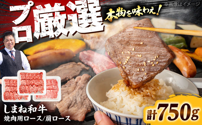 【焼肉の定番！】しまね和牛焼肉用ロース/肩ロース750g(各250g×1P＋おまかせ1P) 和牛 牛肉 国産 焼肉 ロース肉 島根県雲南市/株式会社O.R.C [AIEF012]