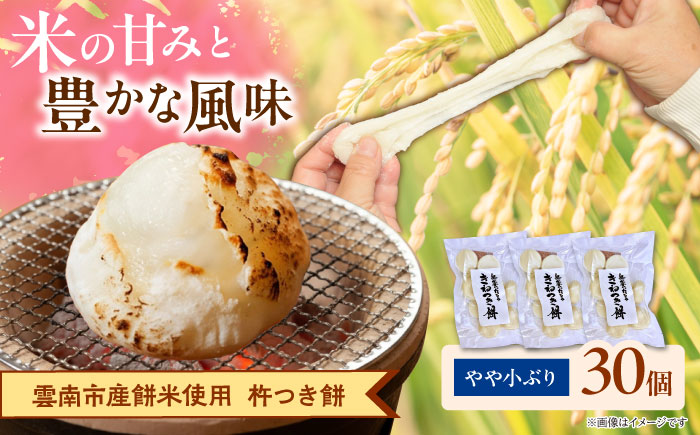 杵つき餅（丸餅）　380g×3袋　餅 もち 切もち 切り餅 丸餅 お正月 雲南市産 本格 杵つき 島根県雲南市/株式会社大東農産加工場 [AIEG001]