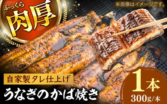 鰻のかば焼き1本 島根県雲南市/有限会社田丸屋魚店 [AIEH004]