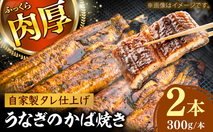 鰻のかば焼き2本 島根県雲南市/有限会社田丸屋魚店 [AIEH005]