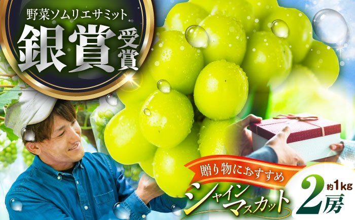 【2026年先行予約】【50個限定】【贈答用】旬の味わいを産地直送で！シャインマスカット 2房（約1kg）秀品・化粧箱入り 島根県雲南市/ギアファーム [AIAB001]