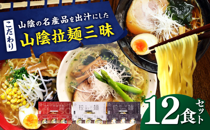 ご当地こだわり山陰拉麺三昧 12食セット | 拉麺 ラーメン 麺 めん ご当地 島根県雲南市/株式会社出雲たかはし [AIAM008]