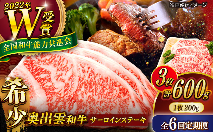 【全6回定期便】【奥出雲和牛】サーロインステーキ 600g(200×3枚) ブランド牛 焼肉 霜降り 高級 人気 ギフト おすすめ 島根県雲南市/島根県農業協同組合　雲南地区本部 畜産加工所 [AIBQ021]