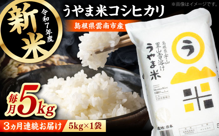 【全3回定期便】神話の里/吉田町「うやま米」コシヒカリ 5kg（5kg×1）新米 白米 精米 コメ 島根県雲南市/有限会社藤本米穀店 [AIDB077]