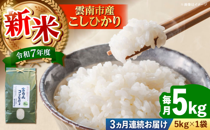 【全3回定期便】【新米】雲南市産コシヒカリ 5kg 島根県雲南市/有限会社藤本米穀店 ｜こしひかり 白米 精米 コメ 5キロ [AIDB108]