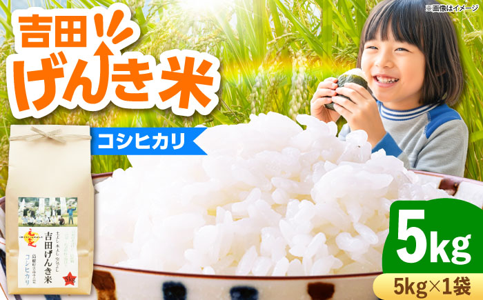 【新米】吉田げんき米コシヒカリ 5kg 島根県雲南市/有限会社藤本米穀店 ｜こしひかり 白米 精米 コメ 5キロ [AIDB117]