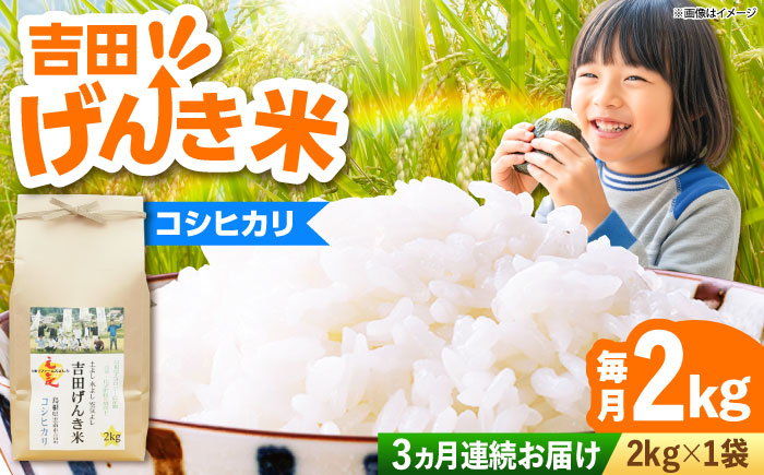 【全3回定期便】【新米】吉田げんき米コシヒカリ 2kg 島根県雲南市/有限会社藤本米穀店 ｜こしひかり 白米 精米 コメ 2キロ [AIDB119]
