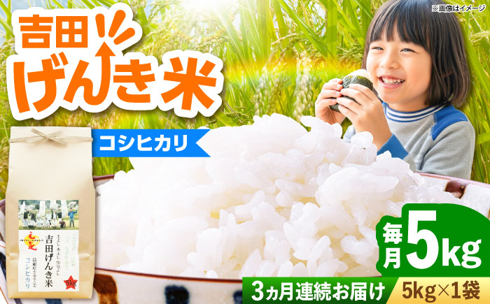 【全3回定期便】【新米】吉田げんき米コシヒカリ 5kg 島根県雲南市/有限会社藤本米穀店 ｜こしひかり 白米 精米 コメ 5キロ [AIDB120]