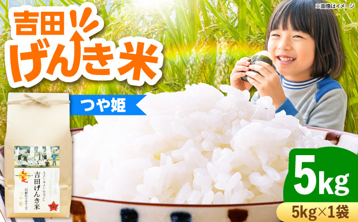 【新米】吉田げんき米つや姫 5kg 島根県雲南市/有限会社藤本米穀店 ｜つやひめ 白米 精米 コメ 5キロ [AIDB123]