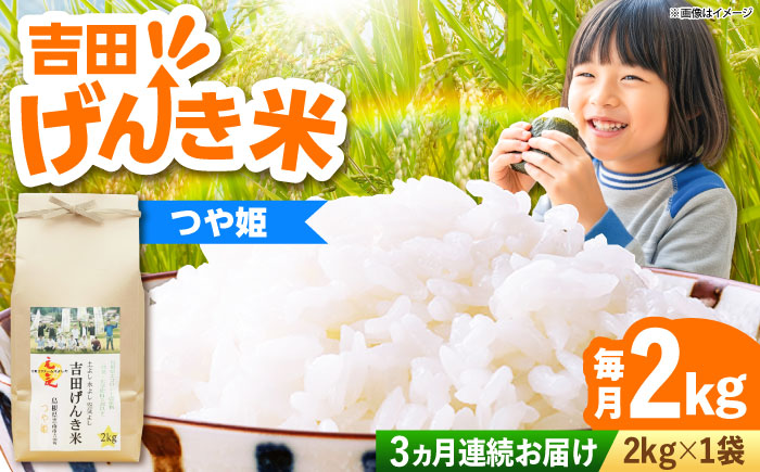 【全3回定期便】【新米】吉田げんき米つや姫 2kg 島根県雲南市/有限会社藤本米穀店 ｜つやひめ 白米 精米 コメ 2キロ [AIDB125]