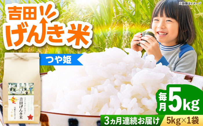 【全3回定期便】【新米】吉田げんき米つや姫 5kg 島根県雲南市/有限会社藤本米穀店 ｜つやひめ 白米 精米 コメ 5キロ [AIDB126]