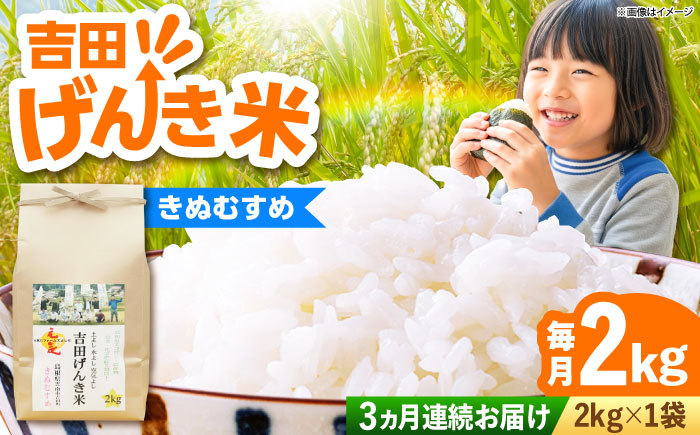 [全3回定期便][新米]吉田げんき米きぬむすめ 2kg 島根県雲南市/有限会社藤本米穀店 |ブランド米 きぬ娘 白米 精米 コメ 2キロ [AIDB131]