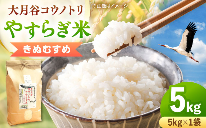 【新米】大月谷コウノトリやすらぎ米 5kg 島根県雲南市/有限会社藤本米穀店 ｜ブランド米 きぬむすめ 白米 精米 コメ 5キロ [AIDB135]