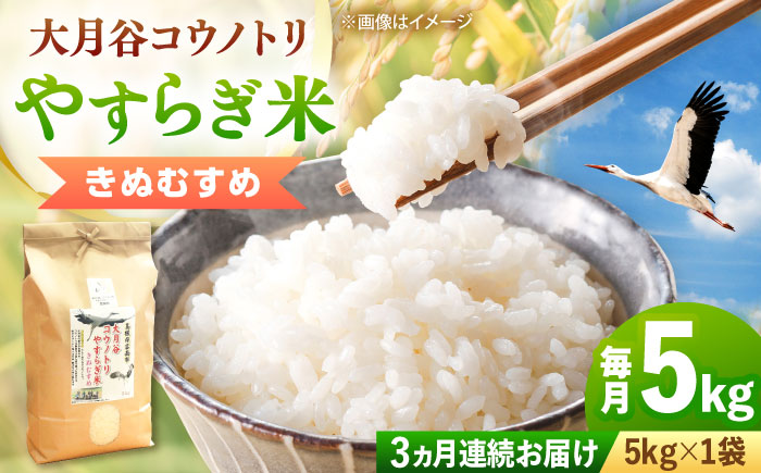 【全3回定期便】【新米】大月谷コウノトリやすらぎ米 5kg 島根県雲南市/有限会社藤本米穀店 ｜ブランド米 きぬむすめ 白米 精米 コメ 5キロ [AIDB138]