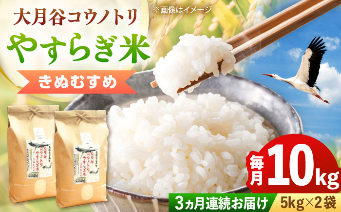 【全3回定期便】【新米】大月谷コウノトリやすらぎ米 10kg（5kg×2袋） 島根県雲南市/有限会社藤本米穀店 ｜ブランド米 きぬむすめ 白米 精米 コメ 10キロ [AIDB139]