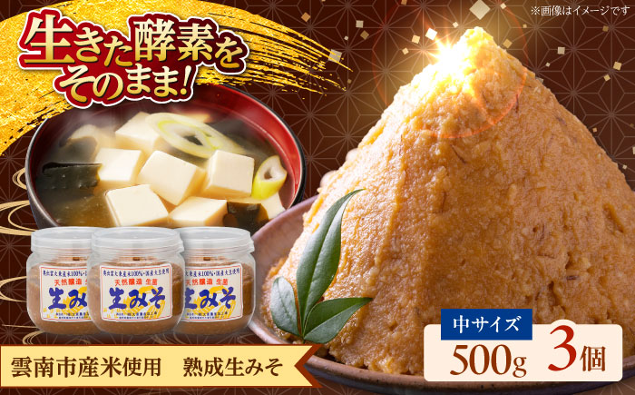 [雲南市産米使用]熟成生みそ(中)500g×3個 味噌 みそ 国産 生みそ 熟成みそ 味噌汁 みそ汁 セット 島根県雲南市/株式会社大東農産加工場 [AIEG005]