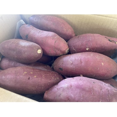 【2025年12月～順次発送】うやま農園のさつまいも　3.3kg