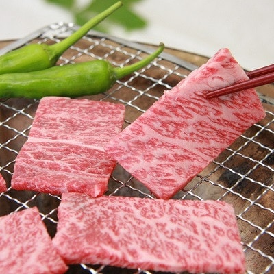 奥出雲和牛肩ロース焼肉用600g(飯南町)【配送不可地域：離島】