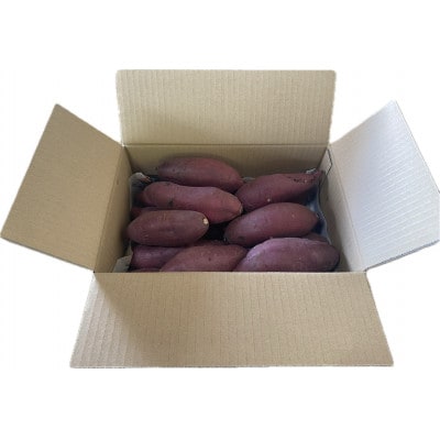 【2025年12月～順次発送】うやま農園のさつまいも　3.3kg