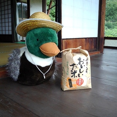 カモしゃん米　精米5kg