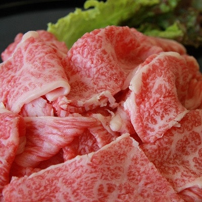 カレー・肉じゃが・牛丼におすすめ!奥出雲和牛切り落とし500g(飯南町)【配送不可地域：離島】