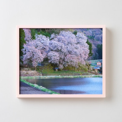 GOSHIKI FRAME【春桜・Sサイズ】(町産ヒノキのフォトフレーム)
