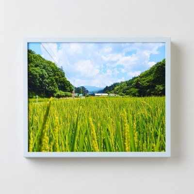 GOSHIKI FRAME【夏空・Mサイズ】(町産ヒノキのフォトフレーム)