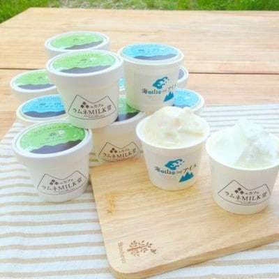 海と山のコラボアイスセット(12個)【配送不可地域：離島】