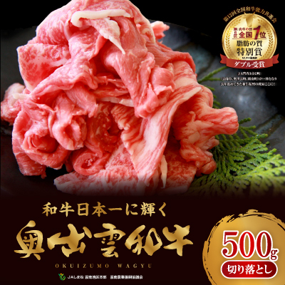 カレー・肉じゃが・牛丼におすすめ!奥出雲和牛切り落とし500g(飯南町)【配送不可地域：離島】