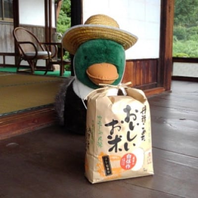 【毎月定期便】コシヒカリ(精米)カモしゃん米　5kg全3回